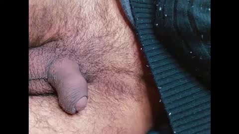 Prince online show from January 12, 2026, 11:10 pm