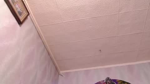 isa and gonzo online show from December 20, 2024, 8:49 am