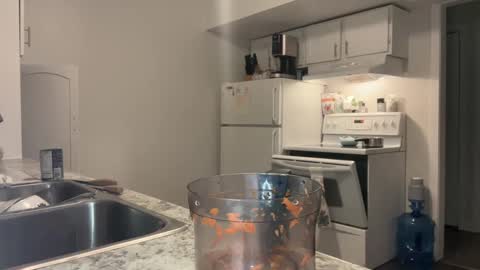 Xylea Luv online show from February 22, 2025, 4:29 am