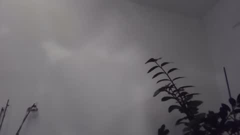 Snapshot of yakijoe chatting on November 6, 2025, 10:43 pm yakijoe online show from November 6, 2025, 10:43 pm