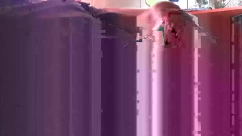 yangolox3 online show from October 4, 2025, 5:00 pm