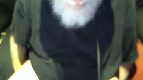 .     y e l l o w s n a k e s       . online show from September 30, 2025, 7:57 am