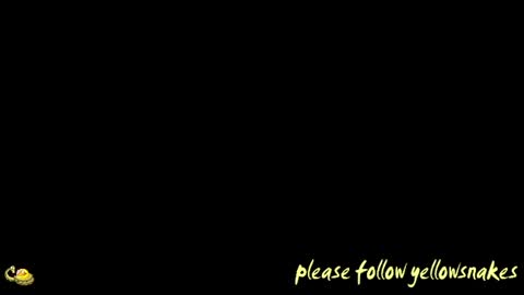 .     y e l l o w s n a k e s       . online show from December 2, 2025, 12:43 pm