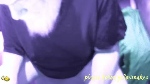 .     y e l l o w s n a k e s       . online show from December 14, 2025, 8:02 pm