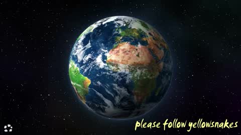 .     y e l l o w s n a k e s       . online show from February 1, 2026, 7:23 pm