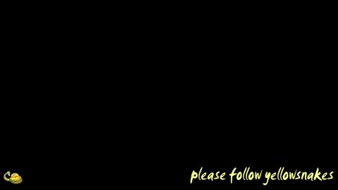 .     y e l l o w s n a k e s       . online show from February 8, 2026, 9:34 am