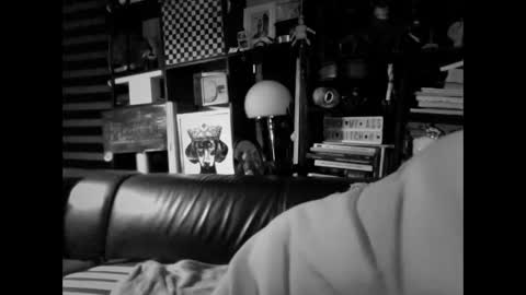 yessex247 online show from February 19, 2026, 6:20 am