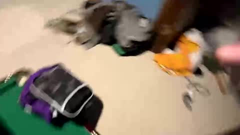 Yesspleasexxp online show from November 17, 2025, 5:57 am