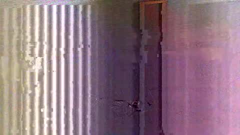 yorel64 online show from February 16, 2025, 6:10 pm