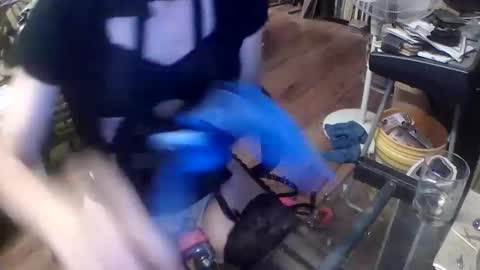 Snapshot of your_dog chatting on December 3, 2024, 4:03 am Taylor Tash online show from December 3, 2024, 4:03 am