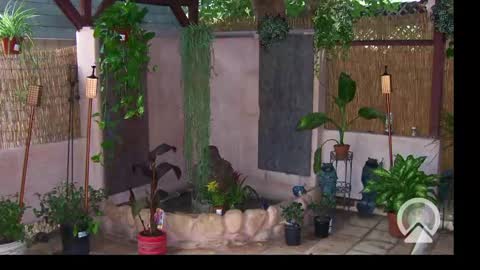 Snapshot of your_king_of_hearts chatting on February 24, 2025, 10:26 am Sophiestar online show from February 24, 2025, 10:26 am