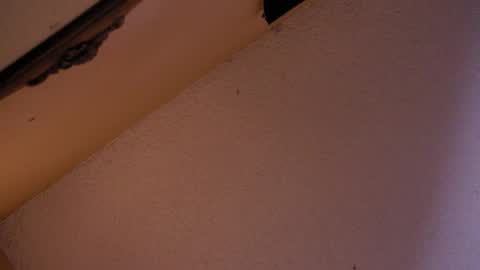 Snapshot of your_king_of_hearts chatting on October 18, 2025, 2:58 am Sophiestar online show from October 18, 2025, 2:58 am