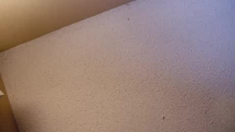 Sophiestar online show from April 21, 2026, 7:36 am