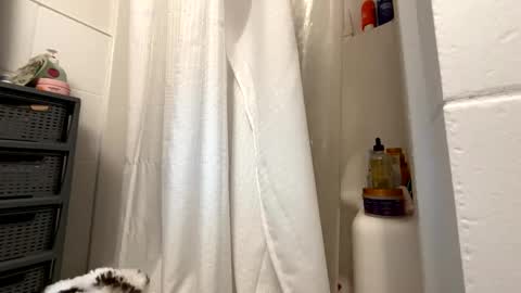 Eastcoast mermaid online show from November 21, 2025, 7:45 pm