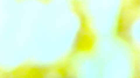 Snapshot of yourmynorthstar chatting on October 13, 2025, 9:48 pm Edging4U online show from October 13, 2025, 9:48 pm