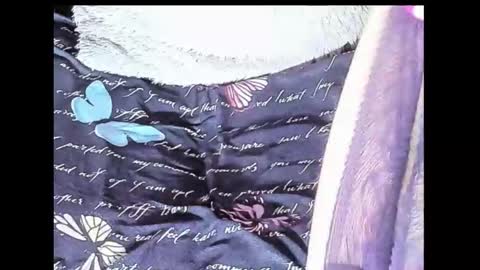 Yukio Davis  online show from October 10, 2025, 1:48 am