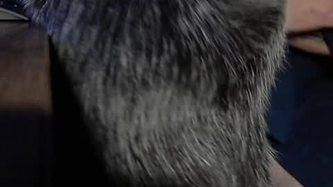 Snapshot of yumguy69 chatting on September 17, 2025, 12:40 pm YumGuy69 online show from September 17, 2025, 12:40 pm