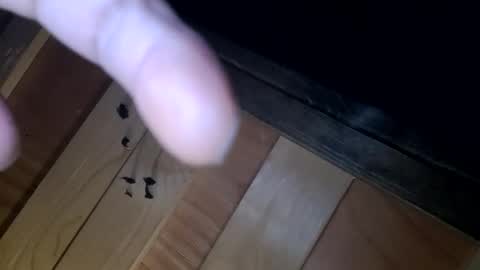 yungnhandsumdee online show from October 13, 2025, 5:51 am