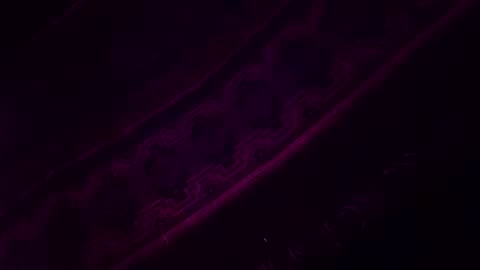 Z0RL0C online show from February 14, 2026, 9:06 am