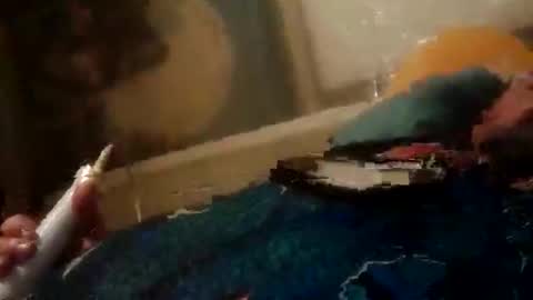 Z0RL0C online show from June 2, 2026, 6:37 am