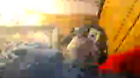 Snapshot of z0rl0c chatting on August 1, 2026, 6:18 pm Z0RL0C online show from August 1, 2026, 6:18 pm