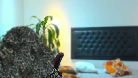 zachpri20 online show from September 24, 2025, 9:23 am