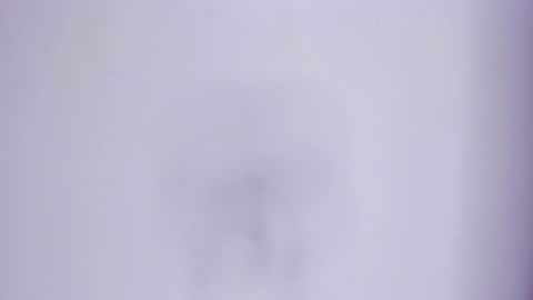 zafira online show from March 7, 2026, 4:15 pm