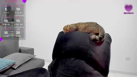 zafiralov online show from December 5, 2025, 2:20 am