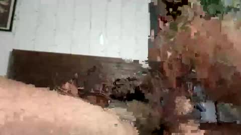 zayden online show from October 23, 2025, 7:07 am