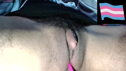 Zeldris online show from December 3, 2024, 4:17 pm