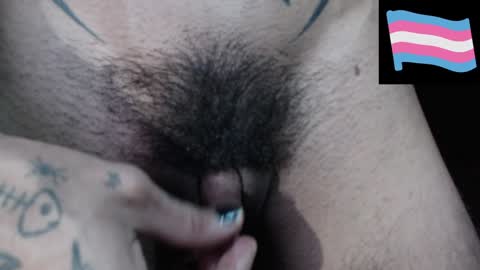 Zeldris online show from December 14, 2024, 11:12 pm