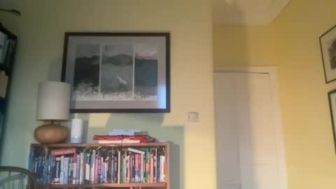 zephr1 online show from December 10, 2024, 2:39 pm