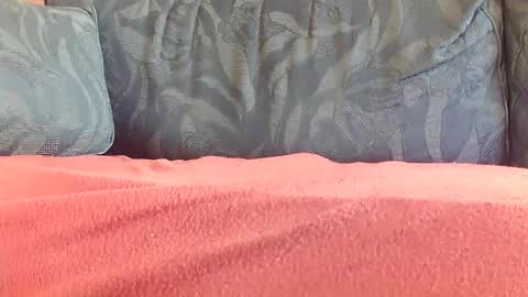 Snapshot of zevioo77 chatting on January 3, 2025, 12:08 pm zevioo77 online show from January 3, 2025, 12:08 pm