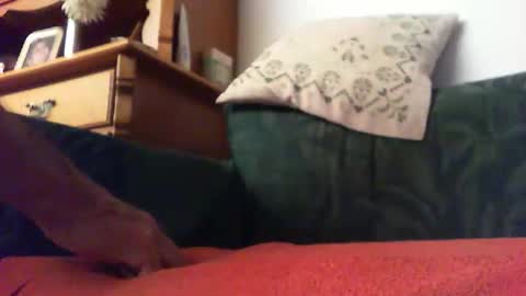 Snapshot of zevioo77 chatting on September 14, 2025, 8:30 pm zevioo77 online show from September 14, 2025, 8:30 pm