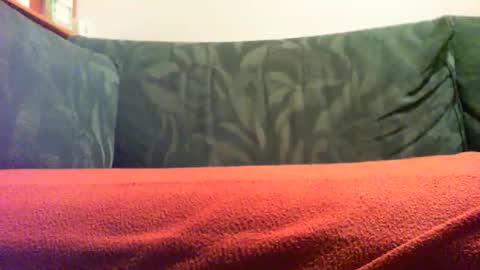 Snapshot of zevioo77 chatting on September 18, 2025, 8:11 pm zevioo77 online show from September 18, 2025, 8:11 pm