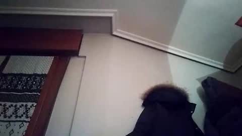 Snapshot of zigor13 chatting on February 4, 2026, 9:31 pm zigor13 online show from February 4, 2026, 9:31 pm