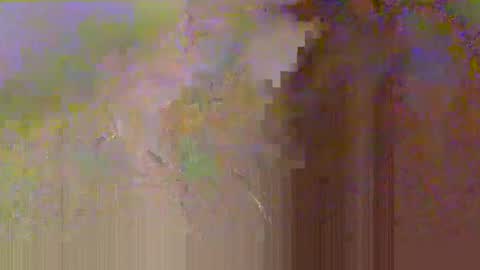 zobrythickock online show from October 29, 2025, 5:25 pm