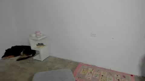 Snapshot of zoe_wattson chatting on April 24, 2026, 9:17 pm Zoe online show from April 24, 2026, 9:17 pm