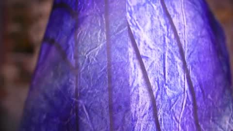 zoey fox  online show from April 8, 2026, 11:27 pm