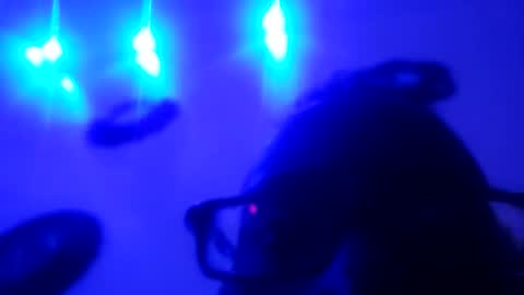 zooted12 online show from May 11, 2026, 10:32 am