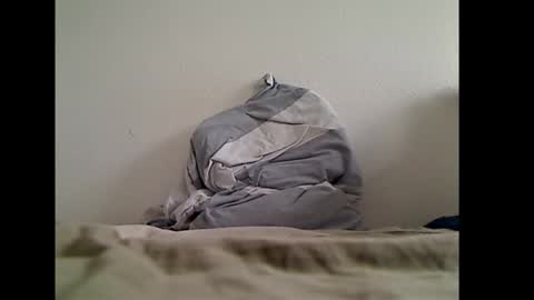 zwweener online show from January 14, 2026, 12:33 pm