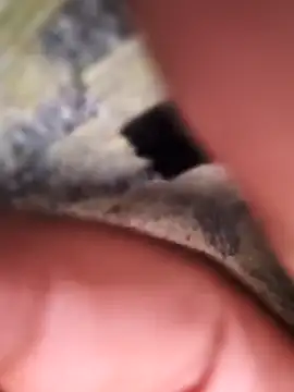 Snapshot of rajstrip12650 chatting on February 2, 2025, 11:53 pm rajstrip12650 online show from February 2, 2025, 11:53 pm