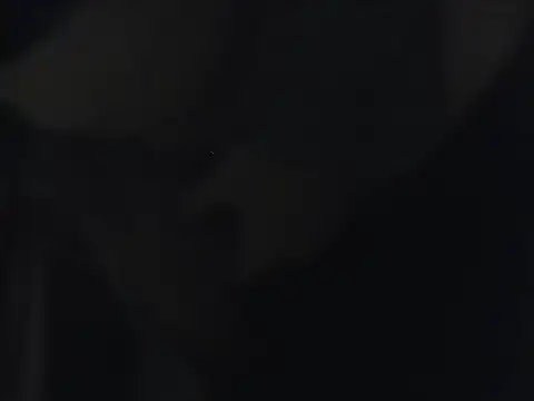 Ethan 29 online show from March 30, 2026, 2:01 am