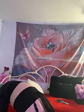 Snapshot of DominiqueX0 chatting on February 20, 2026, 9:04 pm DominiqueX0 online show from February 20, 2026, 9:04 pm