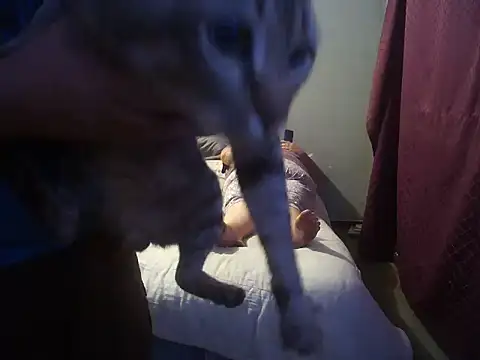 hothouse18xxx online show from December 30, 2024, 6:49 pm