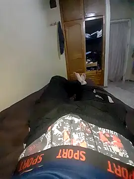 rafik2 online show from November 3, 2025, 1:01 pm