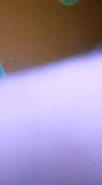 ducicsajsziii online show from January 28, 2025, 5:54 am