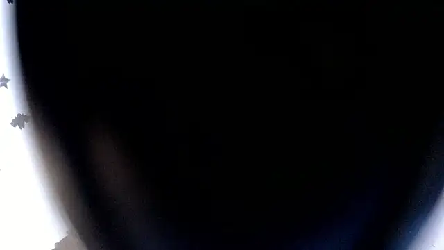 Snapshot of minibrowniet chatting on March 11, 2025, 6:21 am minibrowniet online show from March 11, 2025, 6:21 am