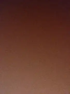 pinaxpack1 online show from November 3, 2025, 4:03 am