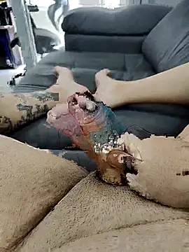 pete 97 online show from September 21, 2025, 3:02 pm